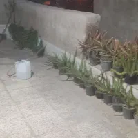 بلوارسرداران