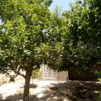 فروش-خانه-ویلاروستایی