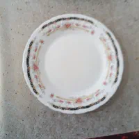 بشقاب پذیرایی