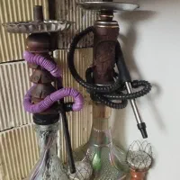 دوعدد قلیان دوسیب