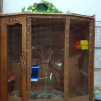 کمد پرنده با پرنده فنچ