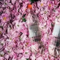 گلاب و عرق نعنا خالص