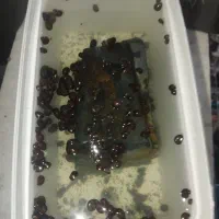 حلزون درسایزبندی