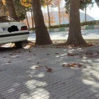 پارس 95|خودرو سواری و وانت|یاسوج, |دیوار