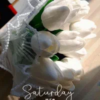 تشریفات فلور|خدمات پذیرایی، مراسم|علی‌آباد کتول, |دیوار