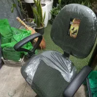 واگذاری مغازه|گل و گیاه طبیعی|بهارستان, |دیوار