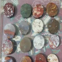 نگین شجر پاییزی