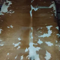 فروش پوست طبیعی گاو