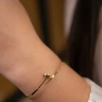 ادمین طلافروشی