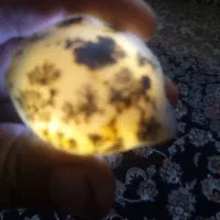 سنگ شجر بی نظیر