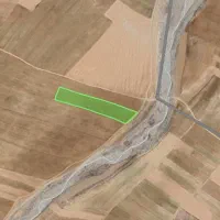 زمین کشاورزی، باغ انگور و جنگل بادام و زردآلو