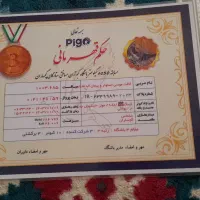 جوجه پلاکی|پرنده|شیراز, ارم|دیوار
