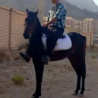 نریون