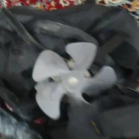 فن یخچال ویترینی