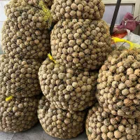 خریدوفروش محصولات کشاورزی