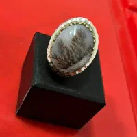 انگشتر شجر کلکسیونی فوق زیبا|بدلیجات|سیرجان, |دیوار