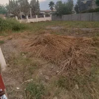 اجاره واحد تجاری 550 متر در بلوار خوش سیرت|اجارهٔ مغازه و غرفه|آستانه اشرفیه, |دیوار