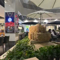 استخدام نیرو ساده و سالندار