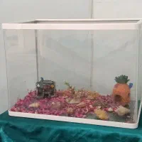 آکواریوم با همه وسایل