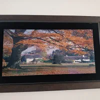 تابلو|تابلو فرش|مشهد, طبرسی شمالی|دیوار