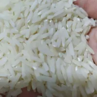 برنج طارم هاشمی