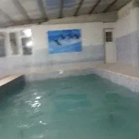 ویلا باغ لوکس استخر سر پوشیده جاده پیر بنو|فروش خانه و ویلا|شیراز, جمال آباد|دیوار