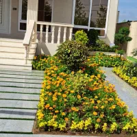 کلیه امور محوطه سازی و باغبانی|خدمات پیشه و مهارت|بندر انزلی, گیلار|دیوار