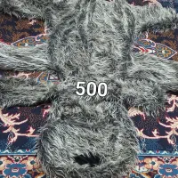 سگ پشمی زیبا