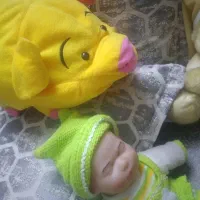 عروسک موزیکال|اسباب‌‌بازی|مشهد, شهید فرامرز عباسی|دیوار