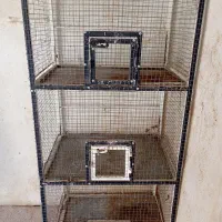 قفس جفتگاه پرنده