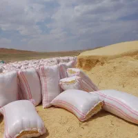 کاه جو و گندم فله اسینم ۹تن به بالا فی ۴۰۰۰ت