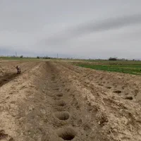 چاله کنی برای انواع نهال و پایه فنس