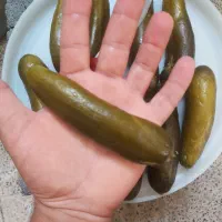 خیارشور رویال