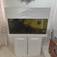 آکواریوم