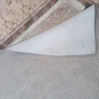 پالاز موکت|موکت|شوش, |دیوار