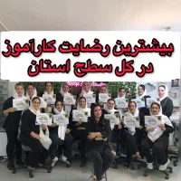 طرح حمایتی استخدام هنرجوی فیبروز آموزش فیبروز