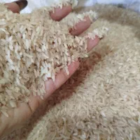 برنجامساله فجر|خوردنی و آشامیدنی|مزرعه کتول, |دیوار