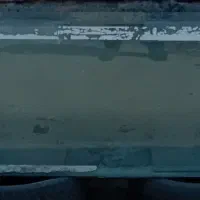 اکواریوم|ماهی|رفسنجان, |دیوار