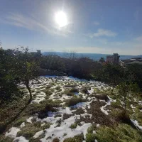 ۳۸۳ متر در بافت *