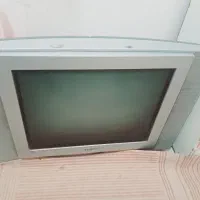 تلوزیون