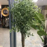 درختچه و بوته مصنوعی وارداتی،چمن مصنوعی|گل مصنوعی|شیراز, نیایش|دیوار