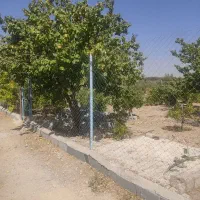 فروش ۵۲۰ متر باغ فنس کشی شده با درخت، شوراب|فروش زمین و ملک کلنگی|شهرکرد, |دیوار
