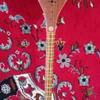 سه تار|سازهای سنتی|سبزوار, باهنر|دیوار