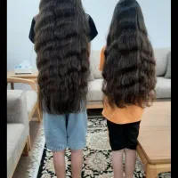 مرکز اصلی مو