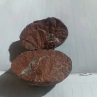 سنگ|جواهرات|کدکن, |دیوار