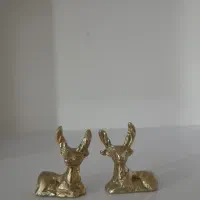 گوزن کوچولو