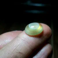 بابا قوری لیمویی میزون|جواهرات|اردبیل, |دیوار