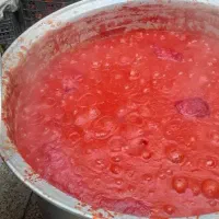 رب گوجه فرنگی ارگانیک باغی