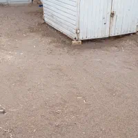 باربند نیسان واریسان|قطعات یدکی و لوازم جانبی|کاشان, شهرک صنعتی راوند|دیوار