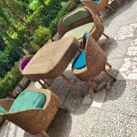 صندلی|میز و صندلی غذاخوری|تهران, نعمت‌آباد|دیوار